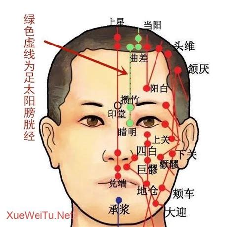 金門穴功效|【足太陽膀胱經】金門穴高清圖解